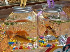 -许爷家·生态湖鲜(徐汇日月光店)