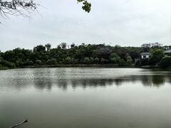 -宜兴龙背山森林公园