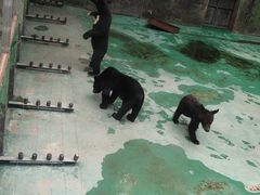 -西安秦岭野生动物园