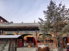 -五台山风景名胜区-罗睺寺