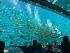 -瑞德姆美人鱼海底演艺主题餐厅(亚龙湾店)