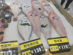 -青岛蓝海大饭店·渔歌舫(李沧店)