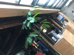 -VOYAGE COFFEE(北锣鼓巷店)