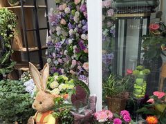 -FEI FEI FLOWER鲜花店·气球派对·宝宝宴布置(虹口德必运动Loft店)
