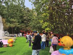 -燕塞湖鸟语林景区