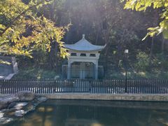 -白水寺森林公园