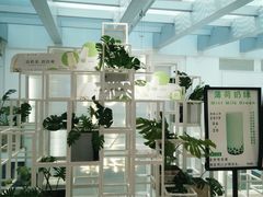 大堂-叶子与茶(苏宁广场店)