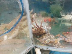 -鑫渔港海鲜本地菜·山海关浑锅(东戴河店)