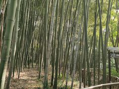 -汇龙潭