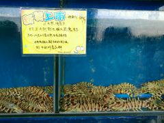 -蚝专家(北滘店)