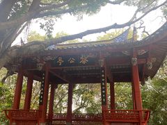 -乌山风景区
