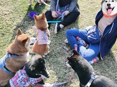 -前小桔亲子创意农场·草莓采摘·露营烧烤