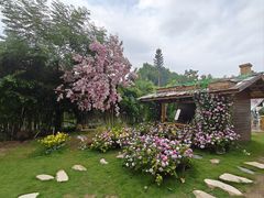 -HERRE·FARM 赫尔露营农场·团建聚会包场