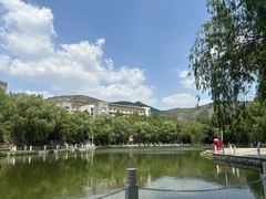 -山东艺术学院(长清校区)