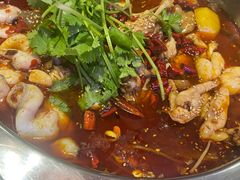 -川囧肥肠鸡·美蛙鱼锅(平高广场店)