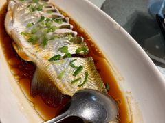 -金美华轩(东方路齐鲁店)