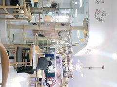 -喵园·猫主题咖啡厅·撸猫·猫咖(国贸店)