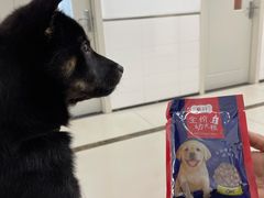 -派美特宠物医院·核磁CT·骨科肿瘤·疑难转诊(沈农禾丰店)
