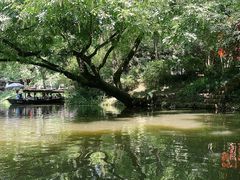 -西溪国家湿地公园