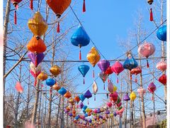 -南宫五洲植物乐园