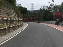 -仙岳公园