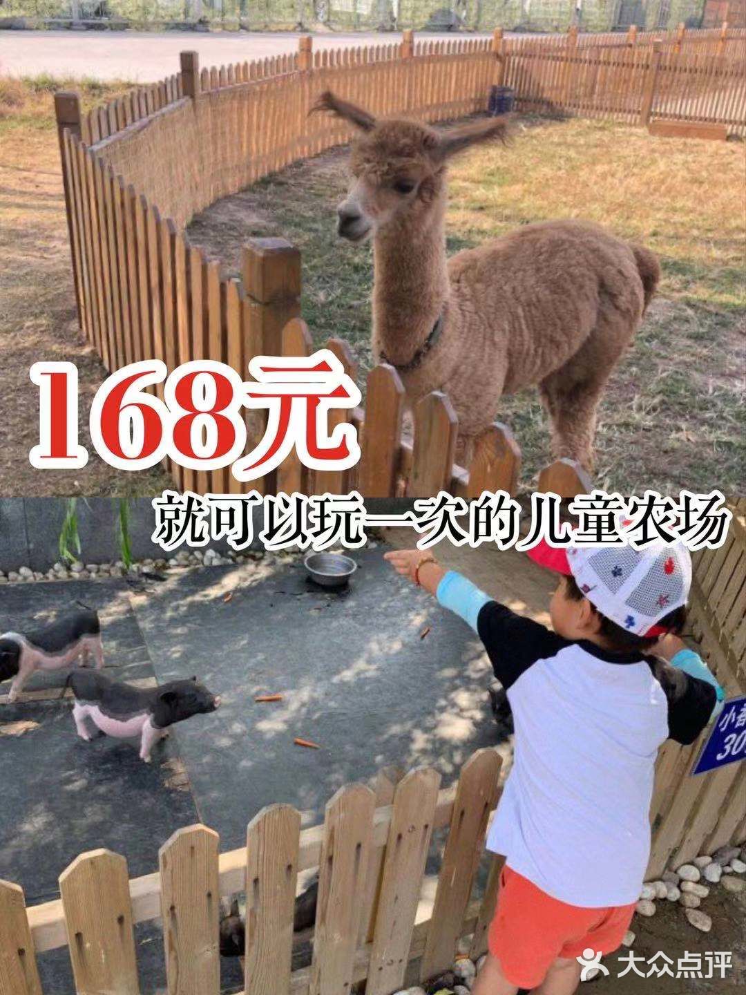 168元就可以玩一次的儿童农场