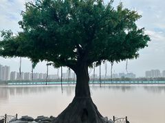 -咸阳湖景区