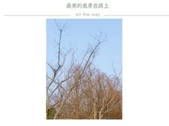 -三垟湿地
