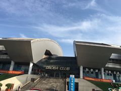 -重庆市奥林匹克体育中心-游泳跳水馆