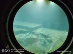 -白鹤梁水下博物馆