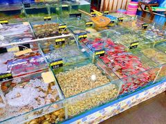 鲜活大海鲜-明记海鲜大排档(巽寮湾店)