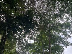 -深圳市罗湖体育馆