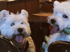 -米店·云南菜(南门店)