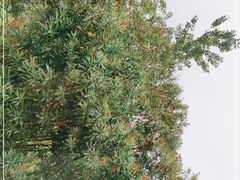-慈城服务区-停车场