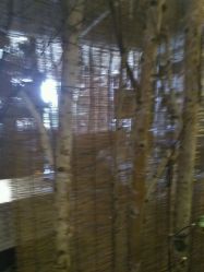 -如果 · 形象 个人整体形象设计工作室