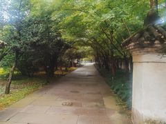 -柯岩风景区