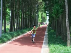 -上海长兴岛郊野公园