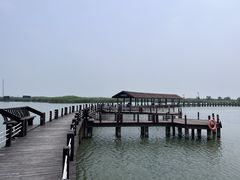 -苏州太湖湖滨国家湿地公园