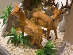 -二分八云雁阁•新晋菜大同味(长治路店)