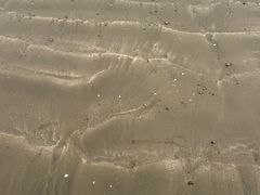 -东海半边山旅游度假区
