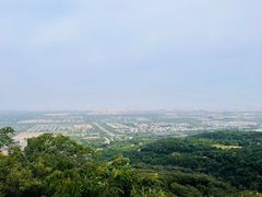 -北京西山国家森林公园