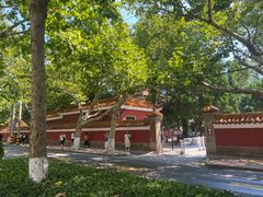 -青岛大学路小学