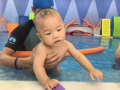 -沥鲨亲子游泳俱乐部(金沙洲中心)