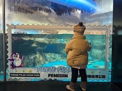 -海合安武汉极地海洋公园