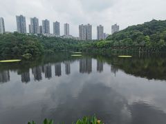 -重庆彩云湖湿地公园