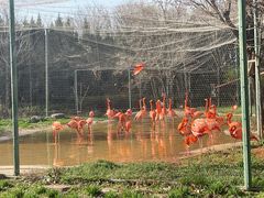 -石家庄市动物园