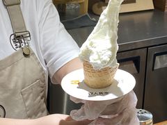 -野人先生Gelato(上海长宁龙之梦店)