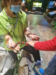 -酷嗒动物文化乐园(cutezoo西溪乐天城店)