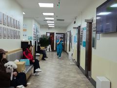 -美联众合动物医院·24h转诊中心