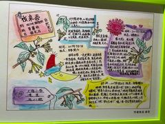 -上海昆虫博物馆